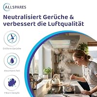 2x AllSpares Aktivkohlefilter für Dunstabzugshauben geeignet für Bosch DHZ3406, DHZ3405, 00296178, 296178 | Siemens LZ34500, LZ34501 | Neff Z5143X0 | Constructa CD53030 | 420x165x30mm – Ansicht 4