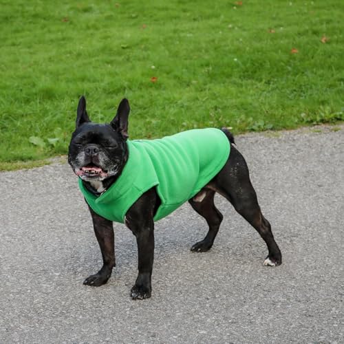 Image of JACKO & CO - Fleece Vest Dog Sweater with Leash Ring - Soft, Warm & Lightweight Pullover Coat for Small & Medium Dogs, Puppies & Cats - Cozy Fall /Winter /Spring Pet Jacket (Green, XX-Large 25-35lbs)