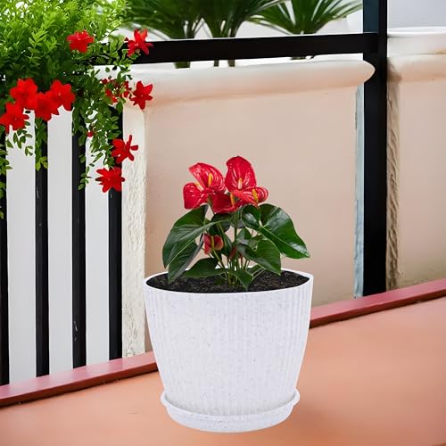 Image of Kuber Industries Plastic 8 Inch Pots for Plants with Tray | Planters for Home Decor, Living Room and Office | Indoor and Outdoor Flower Pots for Balcony and Terrace | Marble Mega - White