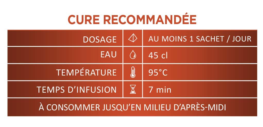 Thés de la Pagode - Thé Yelong Bio - Thé Bio Wulong au ginseng - Vitalité - Boîte infusettes de 30 infusettes