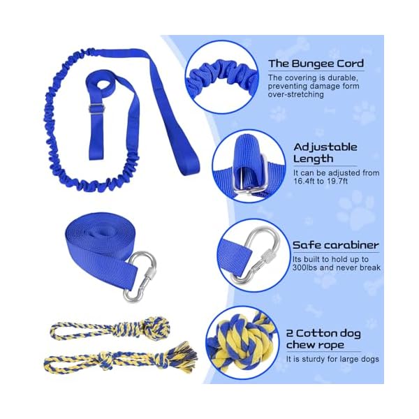 Tree Hanging Tug Toy