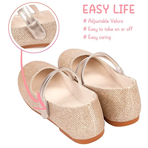 Girls Flats Mary Jane Shoes Dress Shoes for Girl Ballet Flats Back to School Princess Wedding Shoes (Little Kid/Big Kids) 5