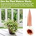 punada Plant Water Self Watering Spikes, Automatic Vacation Plant Watering Devices,Terracotta Wine Bottle Stake Set, Slow Release Self Irrigation Watering System-Perfect for Indoor Outdoor Plant