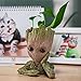 Bayram® Figura de Groot como macetero o portabolígrafos - Figura de acción...