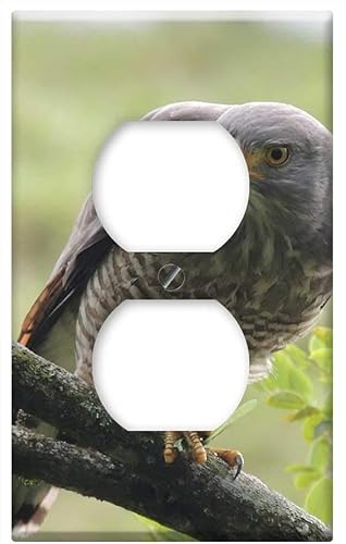 Switch Plate Outlet Cover - Nature The India Quindio Avez