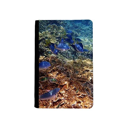 Porte-passeport voyage poisson multicolore et étui océan