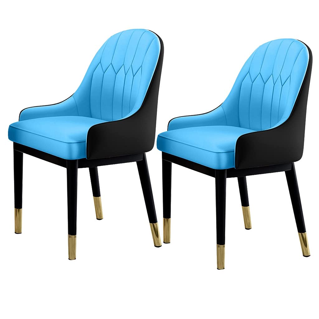 Chaises de salle à manger confortables pour repas de famille et espace repas cuisine
