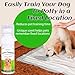 Petstoral Pet No-Go & Puppy Potty Training Spray - Pet Deterrent Spray for Stop Chewing, Pee Here Corrector Spray for Dogs and Cats, 1.69 Fl Oz/50ml Kit