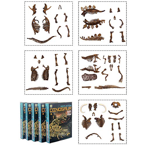5 Different Dinosaur Skeleton Puzzles Model Set 3D Puzzles For Adults, Diy Skeleton Dinosaur Toys For Kids Ages 6 And Up #TOP6