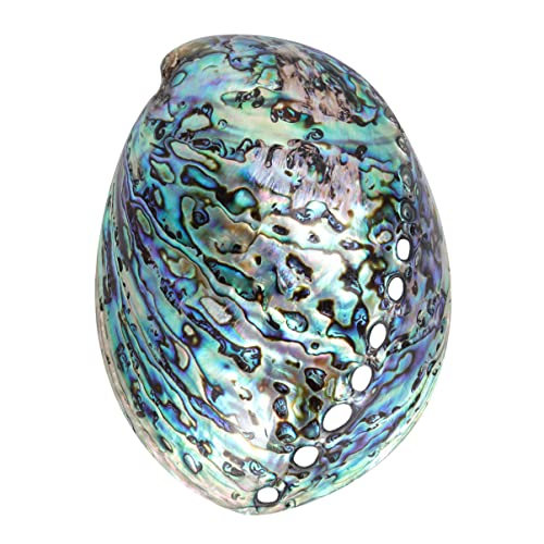 Galpada Ashtray Ocean Gifts Incense Burner Abalone Shell Smudge Bowl Sea Shells Handmade Diy Jewelry Accessories 10-12Cm Natural Shell Trinket Tray Bead Necklace Wedding Decor Wedding Decor #TOP26
