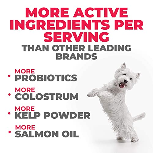 Mighty Petz Max Dog Allergy Relief + Mighty Petz Max Hemp Glucosamine For Dogs Bundle #TOP5