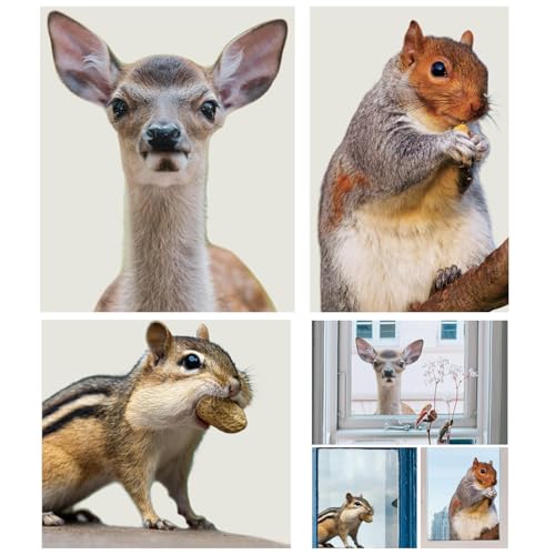 ROLY BEE 3 PCS Woodland Animals Squirrels Deer Hamsters Realistic Fun Gazing Window Stickers Reusable Anti-Collision Double Sided Window Stickers Living Room Bedroom Window Glass Door Decoration