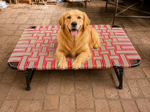 Avika Store Avika Folding Dog Bed 61x91 cm Raised Metal Frame - Image 3