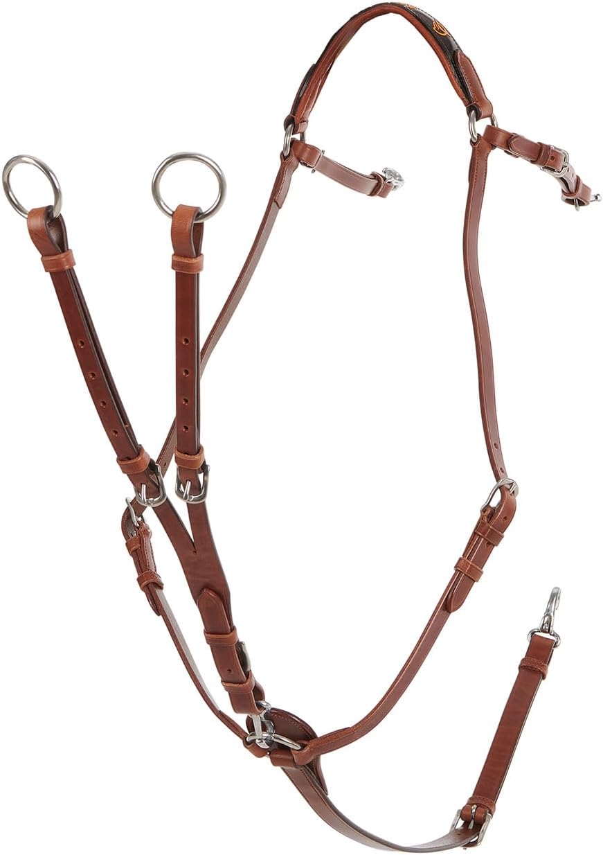 Calfskin 3pt Breastplate & Martingale (Black, Full)