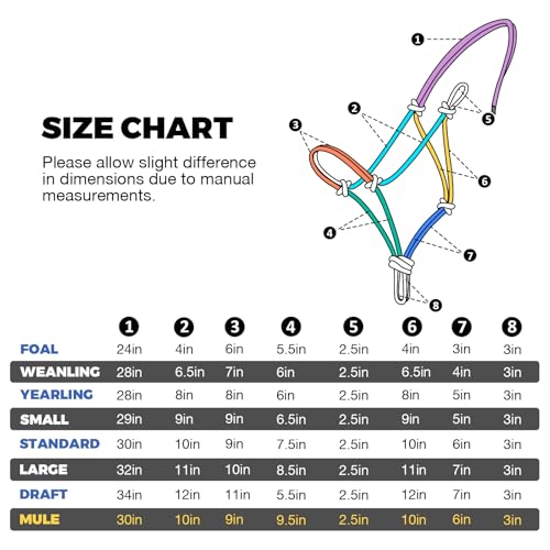 Harrison Howard Conjunto de corda durável com cordão de chumbo, design versátil, 2 nós, turquesa, pe
