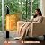 Freestanding Outdoot Electric Heater, Infrared Patio Heater for Outdoor/Indoor Use, 1500W garage heater electric, REMOTE CONTROL, BLACK