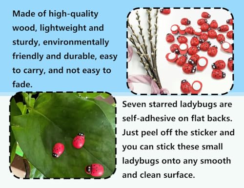 Lhbwhiz 100 Stücke Mini MarienkäFer,Kuscheltier GlüCkskäFer,Selbstklebende Ladybug Verzierungen,für DIY Handwerk Party Dekoration Scrapbooking Bastelarbeiten(Rot,8 * 11mm)