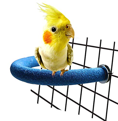 Rypet Parrot Perch Rough-surfaced - Quartz Sands Bird Cage Perches for Small Parakeets Cockatiels, Conures, Macaws…