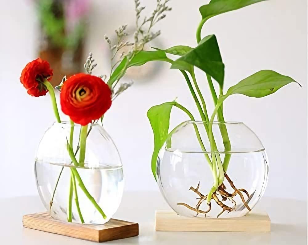 Kingbuy Round Glass Desktop Planter with Wooden Stand - Propagation Station for Small Hydroponic Plants, Spider Plants, Pothos, Lucky Bamboo - Terrarium Vase for Home Office Decor, 2-Pack, Brown - Image 9