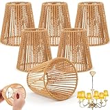 Riakrum 6 Pcs Chandelier Lamp Shades Set Small Lamp Shade for Pendant Wall Ceiling Lights Candle Bulbs Clip on Fitter Lampshade (Rattan,Brown)