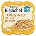 Blédina - Blédichef, Tajine de Poulet au Citron et Coriandre, Dès 15 Mois, 250g