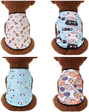 SUNCN ybgAATVcApW}AxXgAʋCAbVAX|[cEFAAAE^[EFAAt@bVAUAOo u[1 L