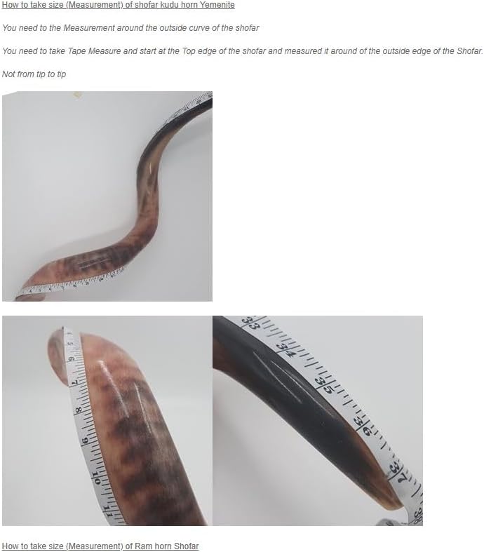 Miniatura 5 de Kudu Shofar pintado extra grande - 40-42 pulgadas Jerusalén y León de Judá diseño + bolsa Shofar