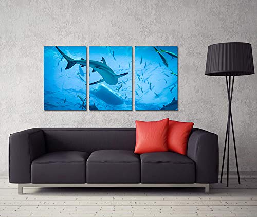 Homeoart Shark Pictures Ocean Fish Wall Art Ocean Underwater Animal Painting Framed Art Prints Home Wall Decor 16"X24"X3 Panels #TOP3