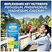 Emergen-C Replenisher (8 Count, Lemon-Lime Flavor) Electrolyte Replenishment Drink Mix with 250mg Vitamin C, 0.33 Ounce Packets