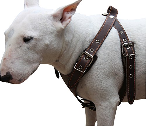 Brown Genuine Leather Dog Harness, Medium. 25"-30" Chest, 1" Wide Adjustable Straps #TOP1