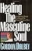 Healing the Masculine Soul