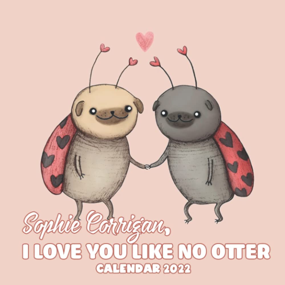I Love You Like No OtteR Calendar 2022: "Magnetic Hanger, Storage Pocket and Sticker Sheet Mini Planner, US-UK Offical Holiday January 2022 - December ... Calendrier12 Months | BONUS 4 Months 2021"