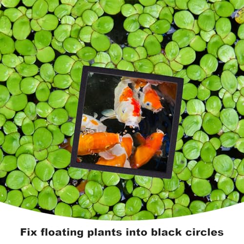 Image of PAGOW 10pcs Fish Feeding Rings Set, Floating Aquarium Plant Corral, Round & Square Fish Feeder Rings for Fish Tank, Floating Plant Ring, Fish Tank Aquarium Accessories for Betta (Black)