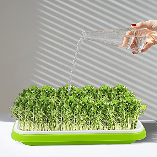Sdldeer Seed Sprouting Tray, 3 Packs Microgreens Growing Trays Big Capacity Sprouts Growing Kit Soil-Free Sprouter Tray For Sprouting Seeds thumb #3