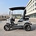 GO UP Electric Golf Cart 2seats