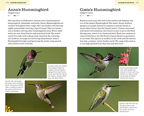 American Birding Association Field Guide to Birds of California (American Birding Association State Field) - Image 6