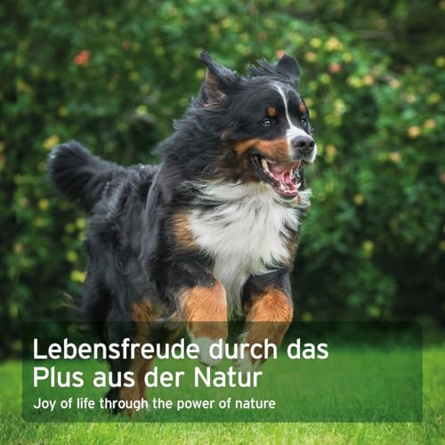 AniForte WermiX für Hunde 250g - Natürliche Kräuter, seit 10 Jahren bewährte Alternative, Unterstützung durch Saponine, Bitterstoffe, Thymian, Wermut & Salbei