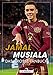 Jamal Musiala: Das große Fanbuch | Alles zum Superstar. Mit Interview und Rätselspaß für junge Fans.: Das große Fanbuch Buch mit günstig Kaufen-Jamal Musiala: Das große Fanbuch | Alles zum Superstar. Mit Interview und Rätselspaß für junge Fans.: Das große Fanbuch