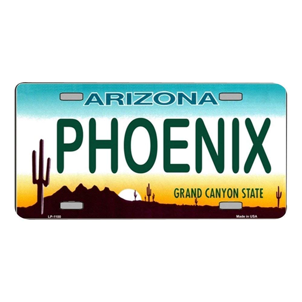 Metal Tin Sign 8X12 Inches Smart Blonde Phoenix Arizona Novelty State Background Vanity Metal License Plate
