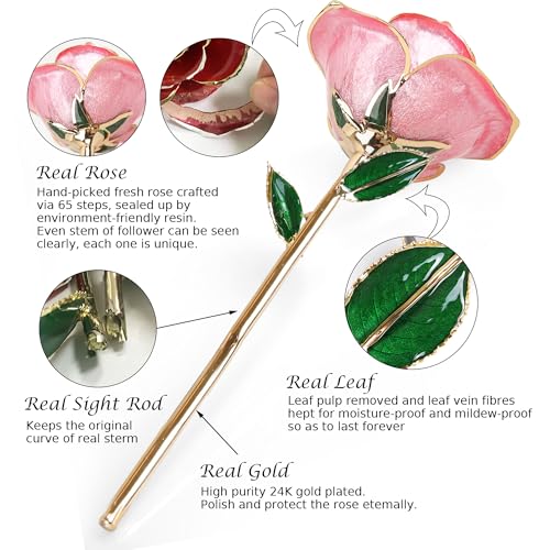 Sinvitron-Gold-Dipped-Rose-24K-Real-Rose-Long-Stem-Gold-Plated-Rose-with-Stand-Romantic-Gift-for-HerBirthday-Gifts-for-Her-24K-Golden-Rose-for-Anniversary-Valentines-Day-Mothers-Day-Sweet-Pink