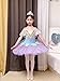 OTMYIGO Girls Ballet Tutu Dress Women Princess Platter Pancake Swan Lake Ballerina Stage Dance Competition Costume,Purple,130