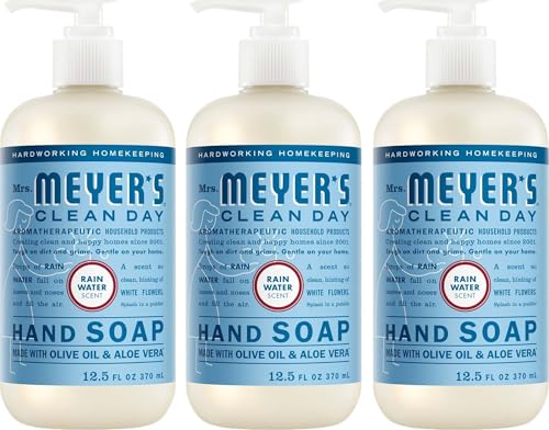 MRS. MEYER'S CLEAN DAY Hand Soap, Rain Water Scent, 12.5 Fl ...