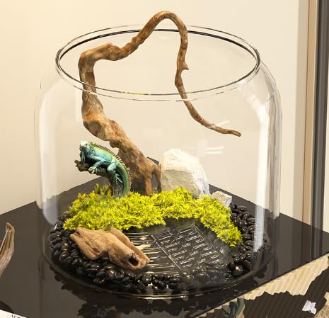 丸型プラスチックエコロジー造景缸 家庭用透明観賞缸 小型デスクトップ 亀・金魚両用缸 緑植物装飾魚缸 (S)