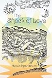 The Shock of Love - David Appelbaum 