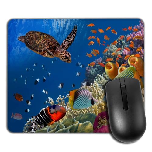Tapis De Souris Antidérapant Rectangulaire pour Animaux Marins sous-Marins Yeuss, Récif De Corail Coloré avec De Nombreux Poissons Et Tortues, Tapis De Souris De Jeu Red Sea Egypt, 200 mm X 240 mm