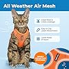 Voyager Escape Proof Cat Harness and Leash Set with Reflective Stitching, Neoprene Handle 5ft - Supports Small, Medium and Large Cats, Kittens for Walking by Best Pet Supplies - Orange, S #2