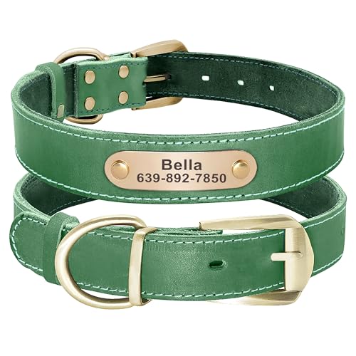 Didog Genuine Leather Dog Collars with Engraved Nameplate, Personalized Soft Leather Dog Collar with Custom ID Tag, Brown/Green/Red for Medium Large Dogs (L,Green)