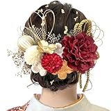 [JZOON] 8色展開 ドライフラワー 髪飾り ダリア 造花飾り 和玉 赤 ヘアアクセサリー 成人式 ゴールド 水引 ヘッドパーツ あじさい 振袖 着物 卒業式 七五三 浴衣 袴 結婚式 かすみ草 和装 造花 手作り 専用ケース付き 赤 DL022