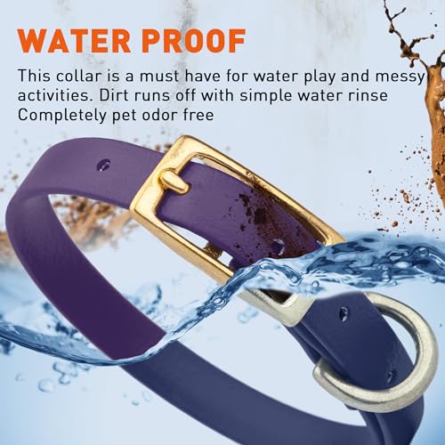 Image of Viper Biothane Heavy Duty Waterproof Dog Collar Strong Coated Nylon Webbing w /Solid Brass Hardware Odor-Proof Easy to Clean High Performance Fits Small Medium or Large Dogs, Violet Purple