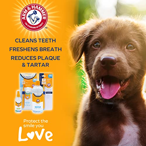 ARM & HAMMER Kokosnuss- und Minze-Zahnpflegespray für Hunde - Reduziert Zahnbelag und Zahnstein, Erfrischt den Atem, Zahnfleisch- und Zahnreinigung. Dentalspray für Hunde und Welpen (118 ml)